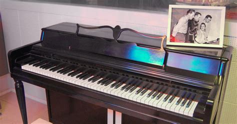 celine the million dollar piano|million dollar piano wikipedia.